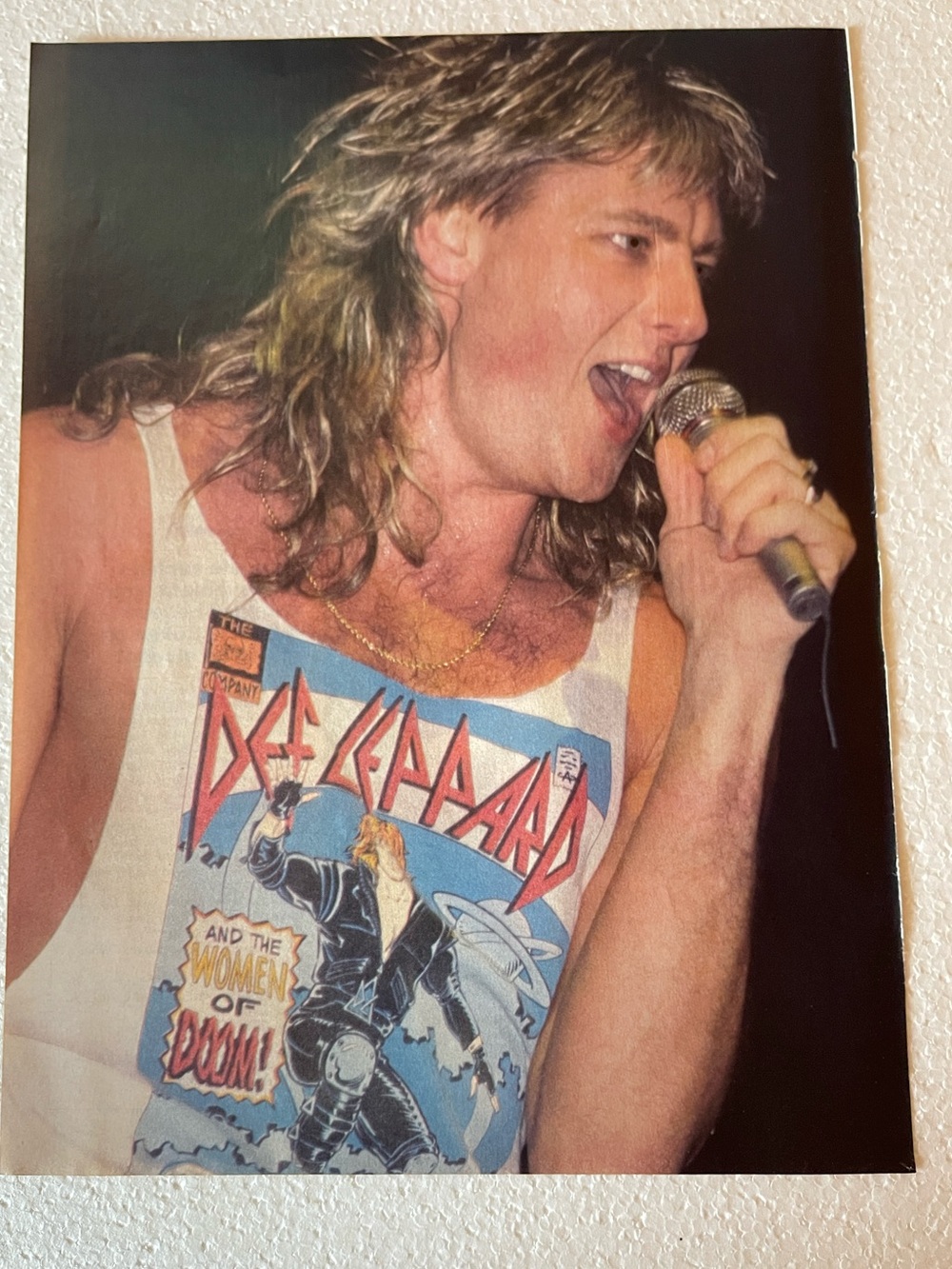 Def Leppard’s Joe Elliott pinup